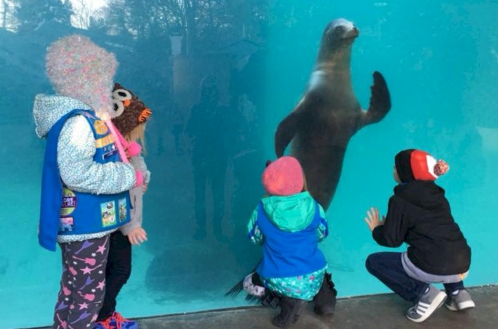 Daisy Girl Scout Trip to the Aquarium