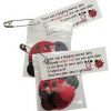 Girl Scout Ladybug SWAP Kit