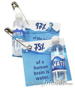 Water Bottle Girl Scout Friendship SWAP Kit via @gsleader411