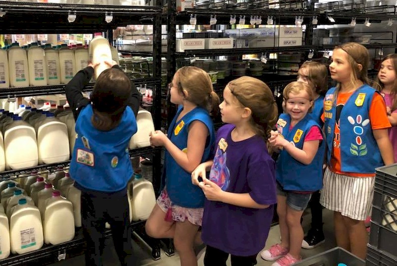 Daisies on a grocery store tour.