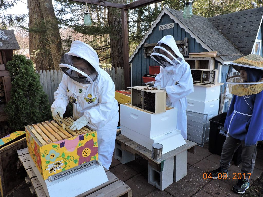 Troop #30222 Releasing Bees Into Hives