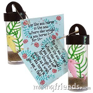 Seahorse Aquarium Friendship Swap Kit. Make tiny little seahorse aquariums to swap. A real crowd pleaser! Kit makes 24 and is available at MakingFriends®.com. via @gsleader411