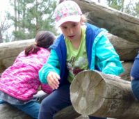 Brownie Girl Scout Climbing on Logs