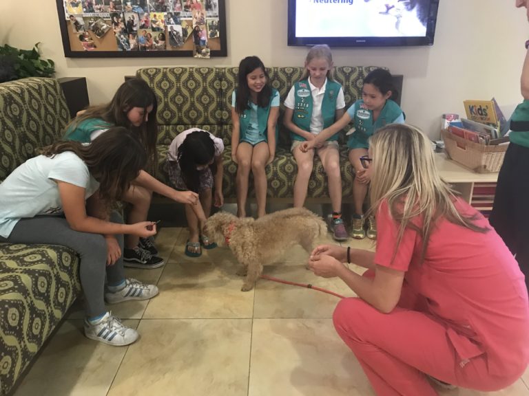 Pet Food Drive as Part of Bronze Award