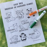 Girl Scout Endangered Animal Coloring Page
