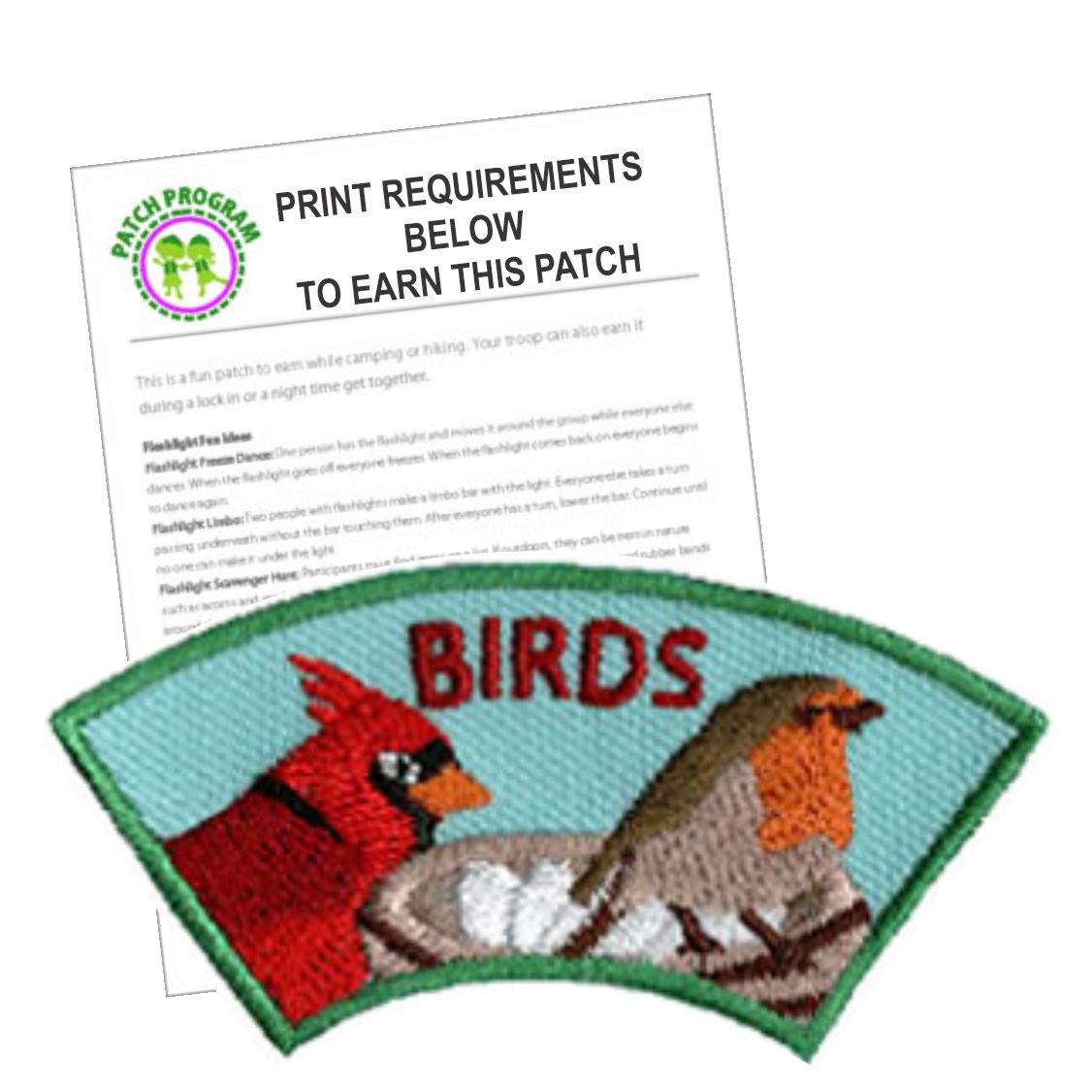 Girl Scout Birds Patch Program