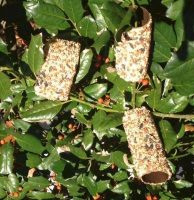 diy birdfeeders for girl scouts