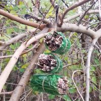 DIY Insect hotel for Girl Scouts.