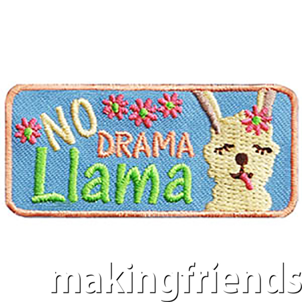 Clearance: A great patch for after completing team building and anti bullying activities. #makingfriends #gsmakingfriends #funpatch #scoutpatches #girlscouts #scouts #girlscoutleader via @gsleader411