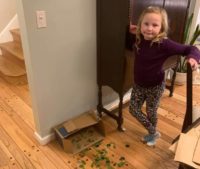 Brownie Leprechaun Trap Challenge