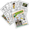 Girl Scout Thinking Day India