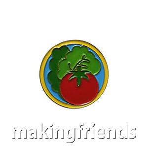Suggested requirements for a meaningful nutrition community service project. March is National Nutrition Month. #makingfriends #gsmakingfriends #youthsquad #funpatch #girlscouts #girlscoutleader #takeactionproject #communityservice #nationalnutritionmonth via @gsleader411