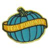 Girl Scout Teal Pumpkin Patch