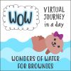 Girl Scout Virtual Journey in a Day for Brownies