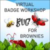 Girl Scout Virtual Bug Workshop for Brownies