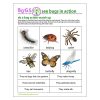 Girl Scout Fun and Games Bug Download for Brownies