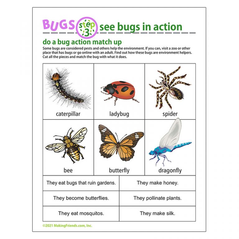 Girl Scout Fun and Games Bug Download for Brownies