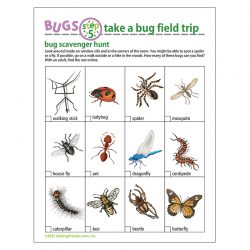 Bug Scavenger Hunt -- Included Free with Download Purchase