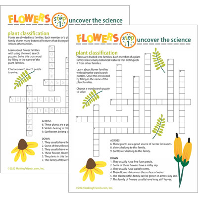 Flower Classification Crossword