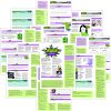Girl Scout Cadette Media Journey Instructions