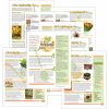 Girl Scout Senior So What? Journey Ideas