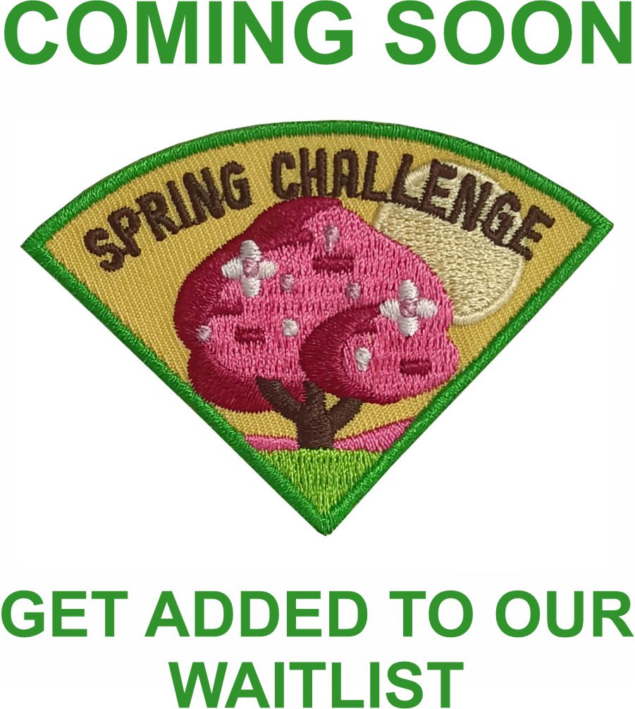 Spring Challenge Patch Program