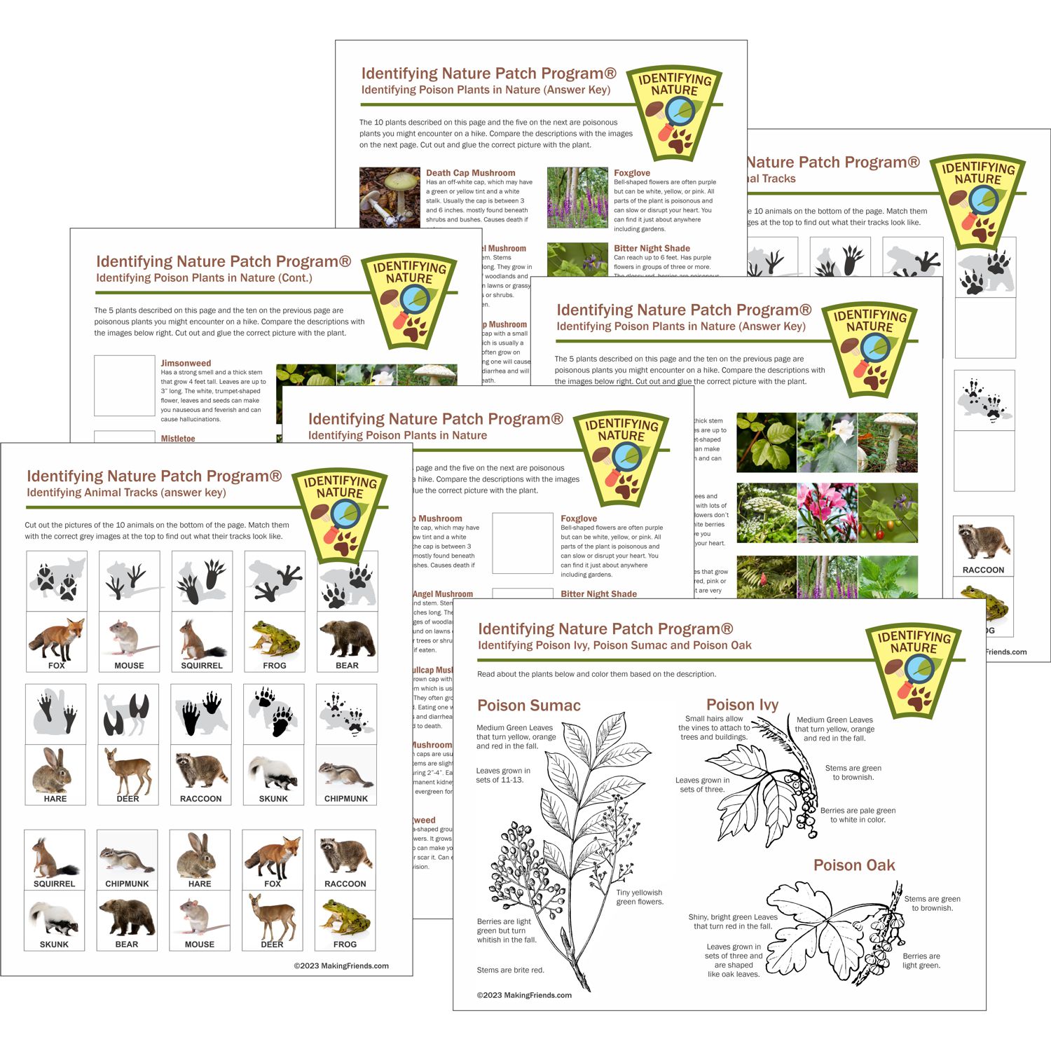 Scout Identifying Plants & Animal Tracks Worksheets
