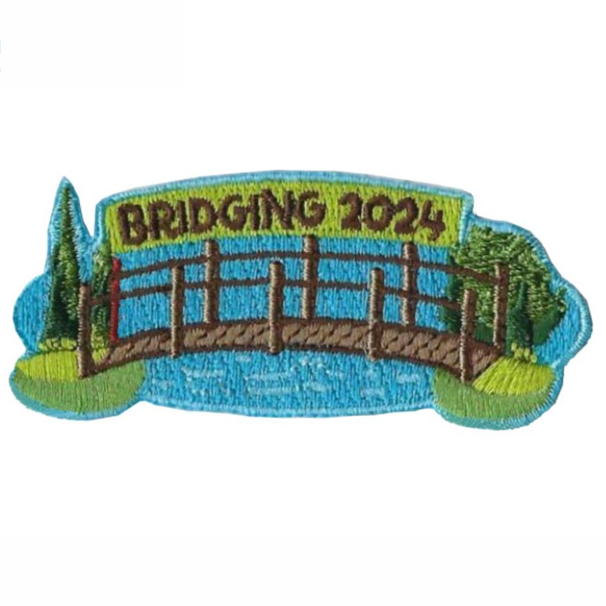 Girl Scout Bridging 2024