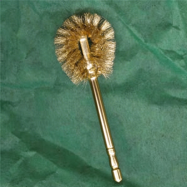 Girl Scout Golden Bathroom Award