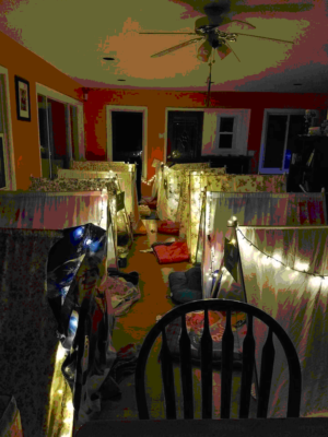 Girl Scout DIY Indoor Daisy Tent