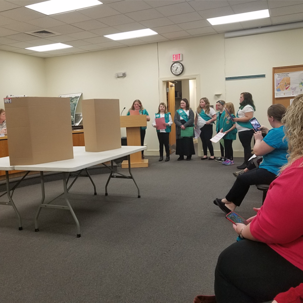 Girl Scout Bronze Award