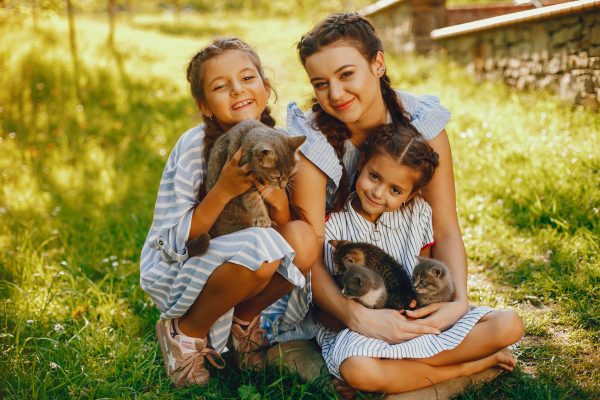 Girl Scout Community Service - Socializing Kittens