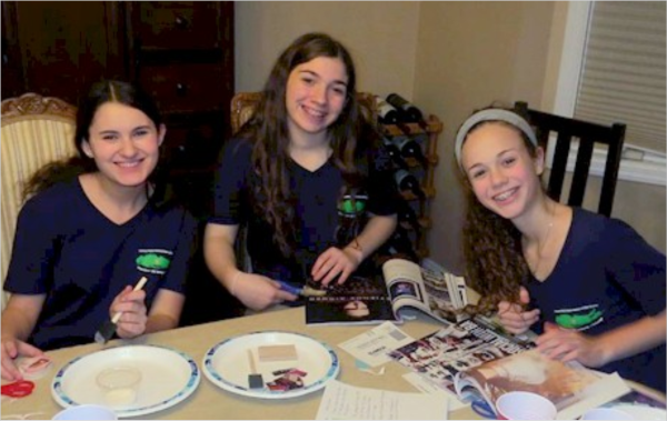 Senior & Ambassador Girl Scout Ideas
