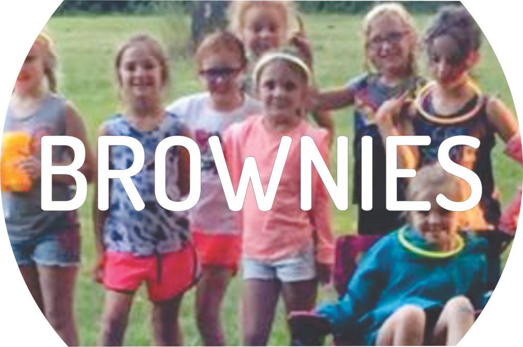 Girl Scout Brownies