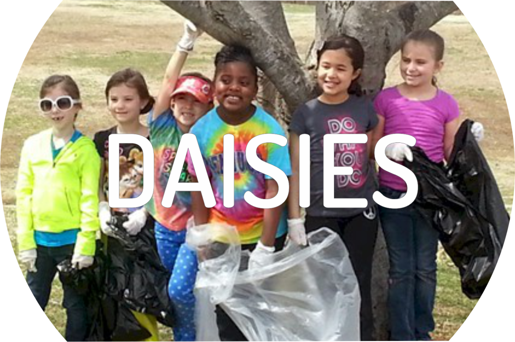 Girl Scout Daisies