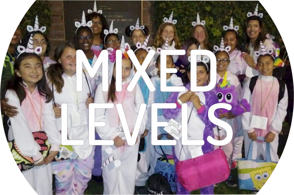 Girl Scout Mixed Levels