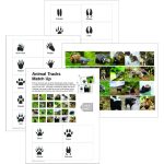 Animal tracks printable