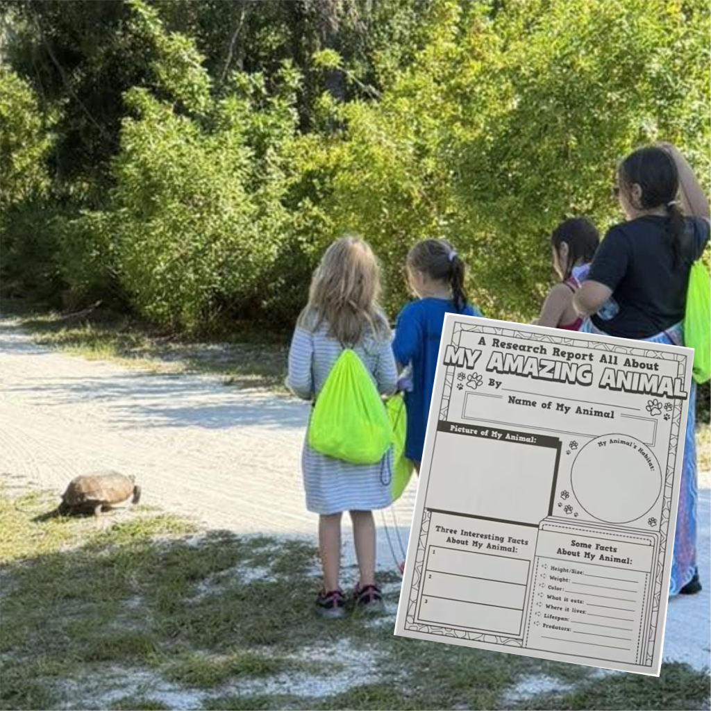 Brownie Girl Scouts Take a Hike while practicing Leave No Trace.