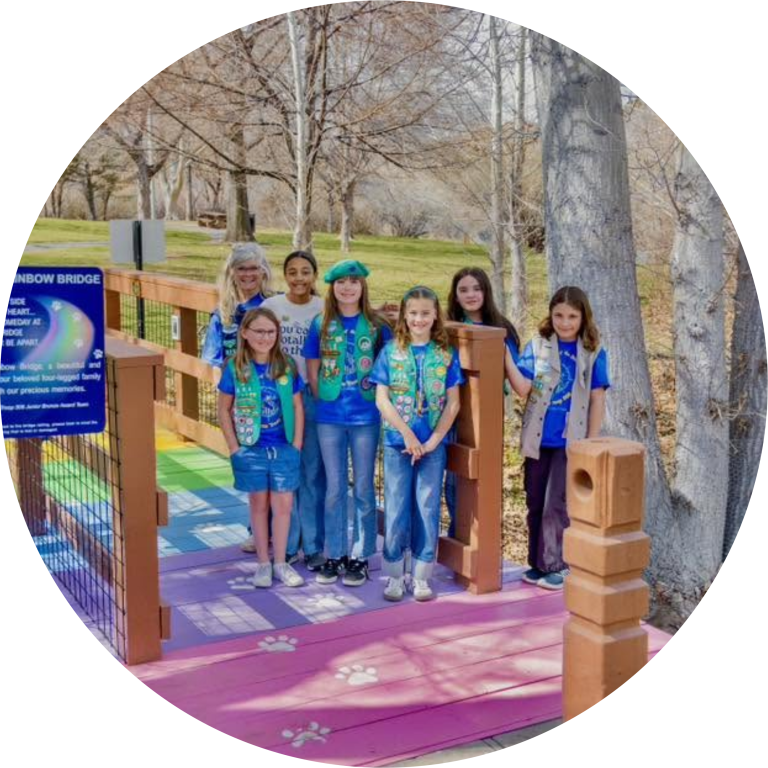 Bronze Award: Building a Rainbow Bridge