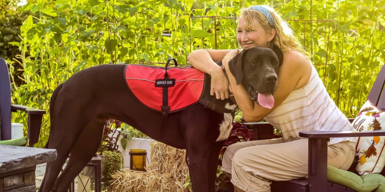 Cadette Animal Helpers