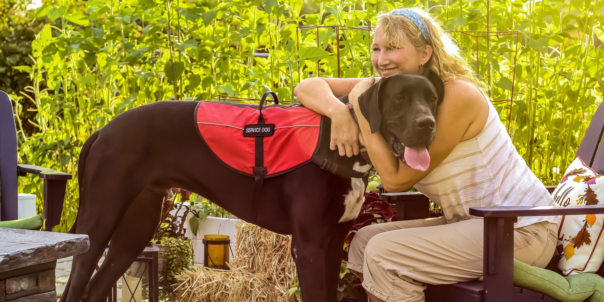 Girl Scout Cadette Animal Helpers Badge Ideas