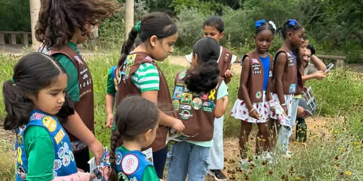 Brownie irl Scouts Earning the Eco Friend Badge