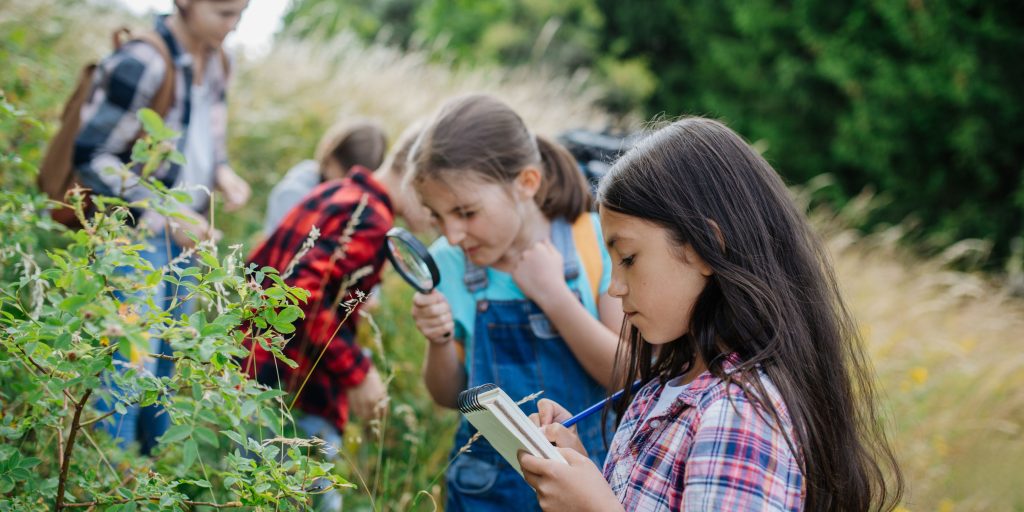 Ideas for Junior Habitat Girl Scout Badge