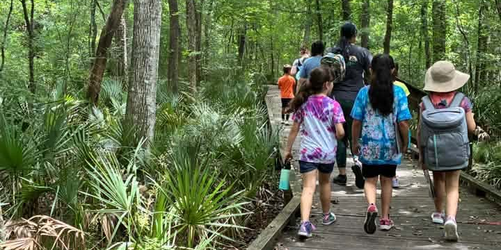 Brownie Trail Adventure: Step-by-Step
