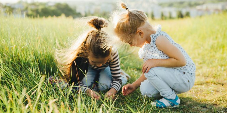 Daisy Eco Learner Guide for New Leader Success