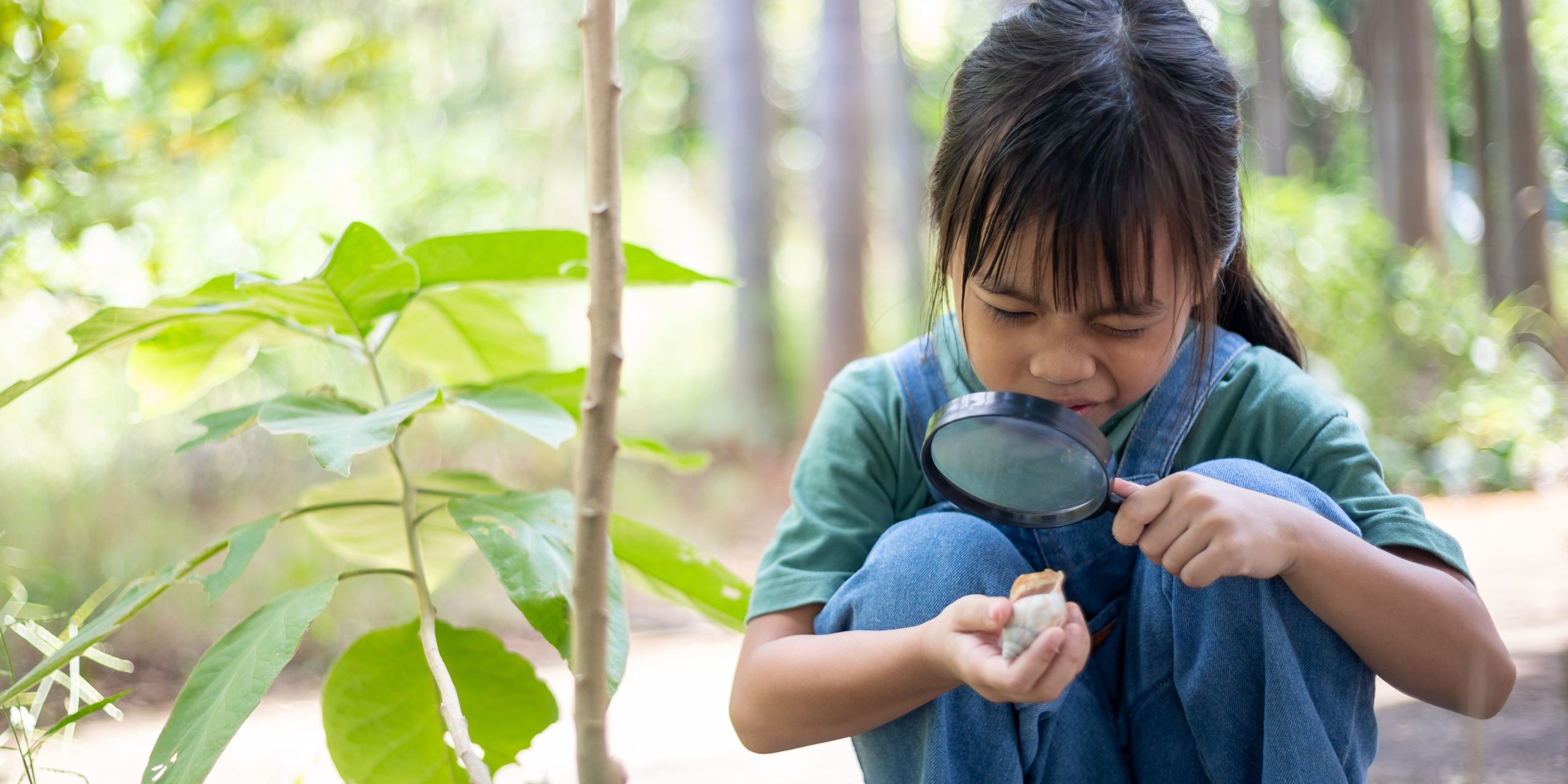 Daisy Girl Scout Eco Learner Lesson Plan