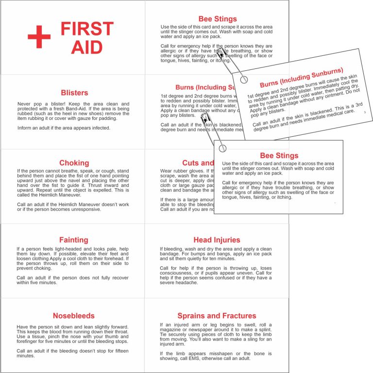 PDF First Aid Cards Free