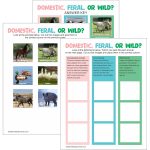 Junior Girl Scout Animal Habitat PDF