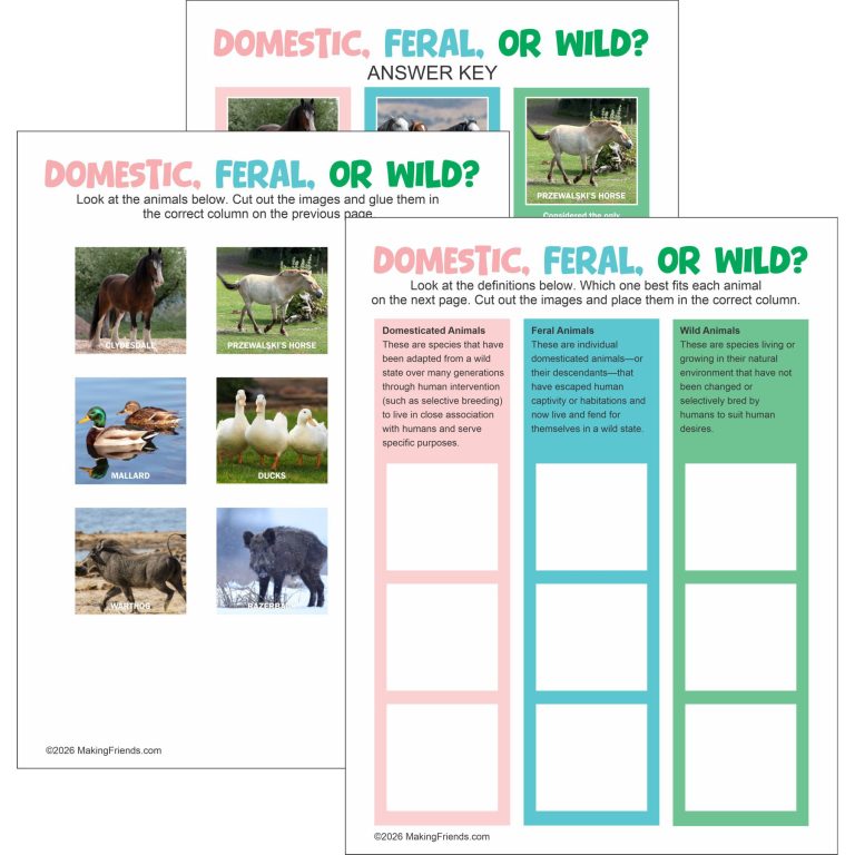 Junior Girl Scout Animal Habitat PDF